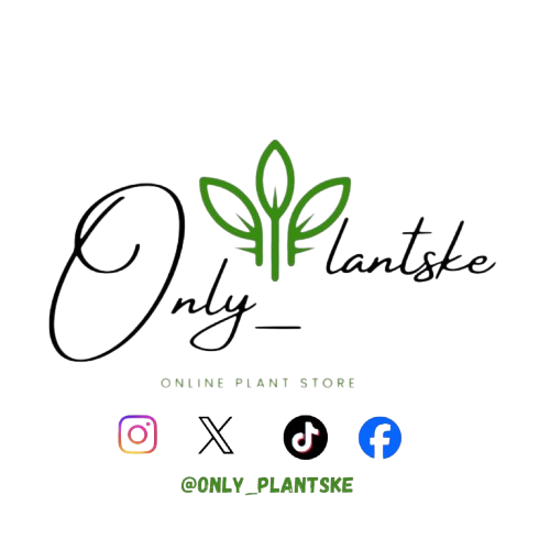 OnlyPlantsKE logo